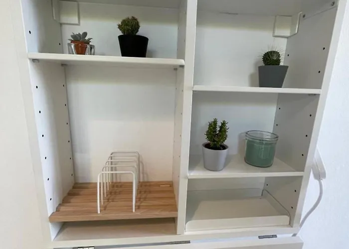 Pafia Blue-diamond, Studio,