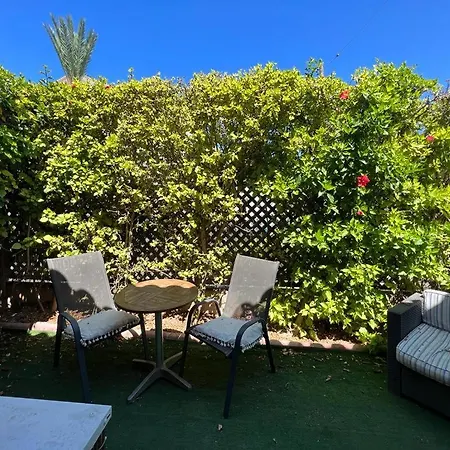 Pafia Blue-diamond, Studio, *